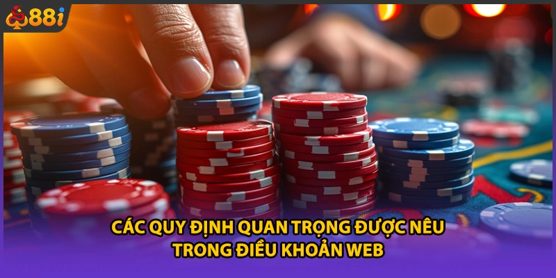 Các quy định quan trọng được nêu trong điều khoản web