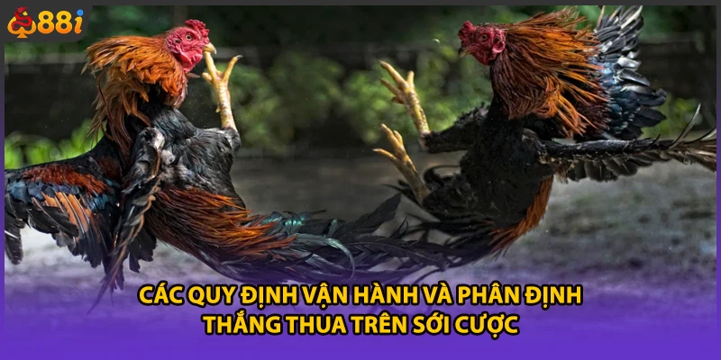 Các quy định vận hành và phân định thắng thua trên sới cược