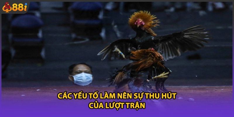 Các yếu tố làm nên sự thu hút của lượt trận