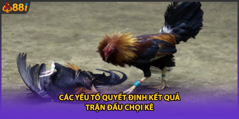 Các yếu tố quyết định kết quả trận đấu chọi kê