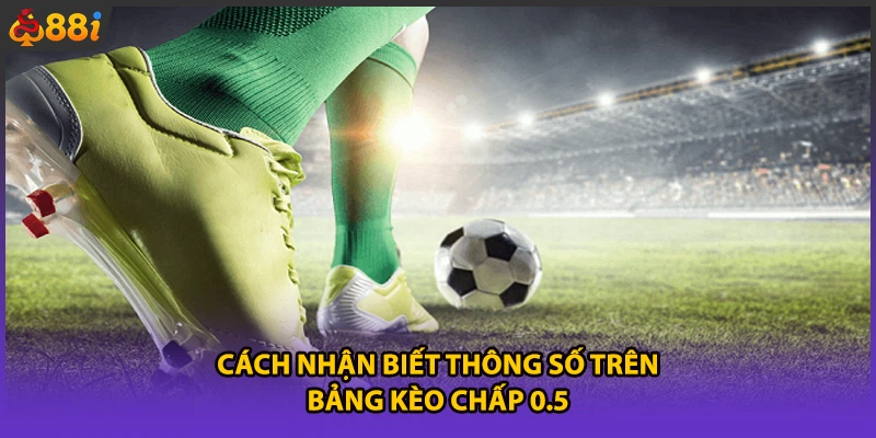 Cách nhận biết thông số trên bảng kèo chấp 0.5