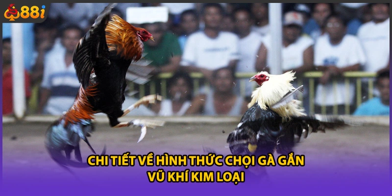 Chi tiết về hình thức chọi gà gắn vũ khí kim loại